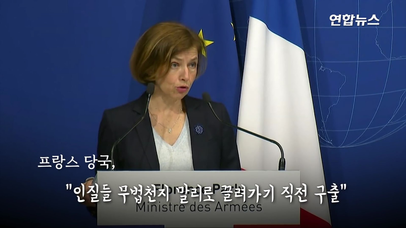 프랑스군이 구출한 한국인 인질