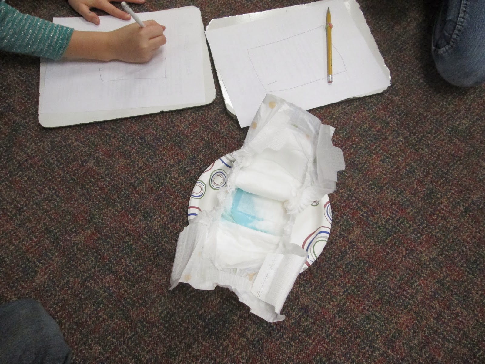 Adventures in Third Grade: January 2014