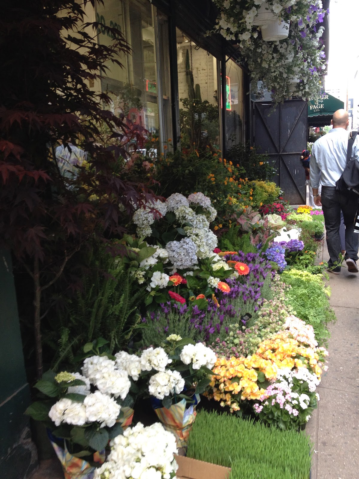 Brooke In Bloom Chelsea Flower District in Bloom