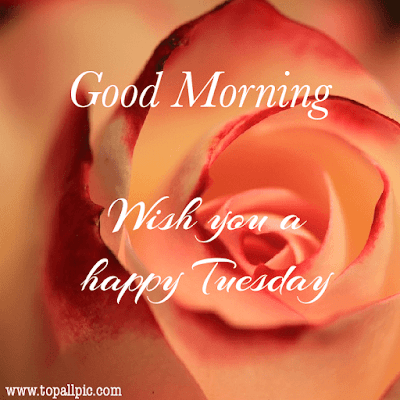 good morning tuesday images good morning tuesday images