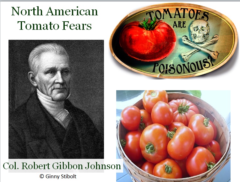 Green Gardening Matters The history of tomatoes as a crop and growing