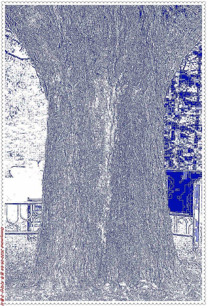 원주 구룡사 원주 구룡사