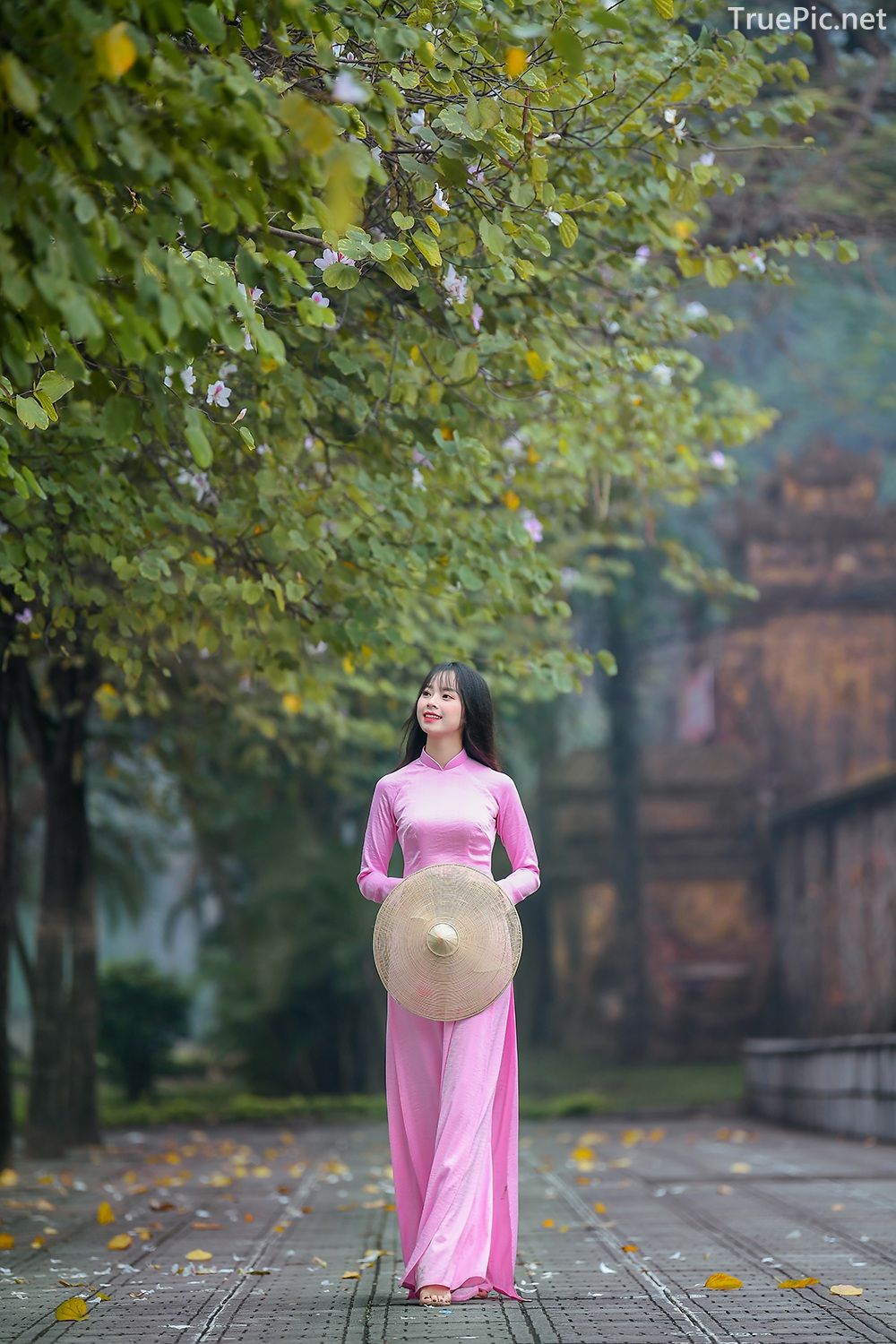 Dreamy purple of Ao Dai - Gentle and Soft of beautiful girls - Vietnamese traditional dress