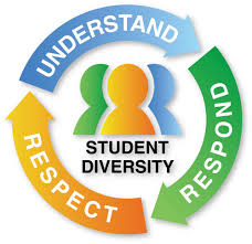 Individual Student Differences STUDENT DIVERSITY