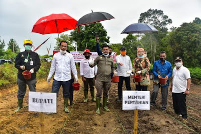 Menteri Pertanian Apresiasi Pengembangan Komoditi Pertanian Khususnya Petani Bawang Humbahas