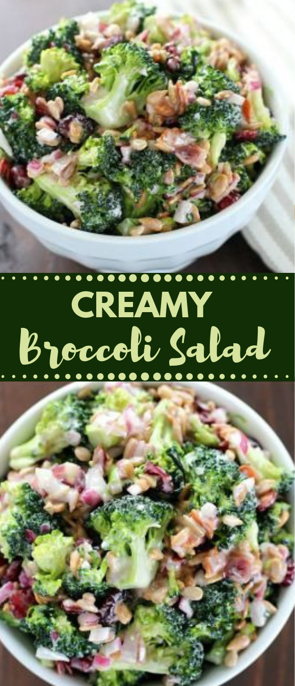 CREAMY BROCCOLI SALAD RECIPE salad recipes broccoli vegetarian 