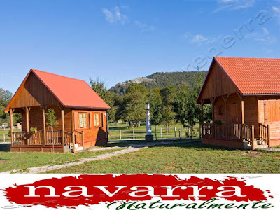 El Turismo Rural de Navarra, siempre ha sido un sector pionero e importante dentro de la actividad del Turismo.  Navarra, junto a la CCAA de Asturias fueron los pioneros, en la creación de Casas Rurales, como modalidad de alojamiento, en los años 90.  En aquella época, las administraciones, subvencionaron de manera importante a los propietarios de casas de los pueblos rurales, para que rehabilitaran sus viviendas.  Este hecho provoco que muchos propietarios, cogieran las subvenciones y adaptaran sus  casas.  Las subvenciones llegaron  hasta un 60% de la rehabilitación, a fondo perdido.  Este hecho, provocó que muchas   viviendas de la zona de los pirineos de Navarra,  fueran rehabilitadas y por esta razón, el número de Casas Rurales  sea mayor en esta parte de la Comunidad Foral de Navarra.  Por esta razón es normal que  los pueblos de Navarra Naturalmente, donde hay más casas rurales, sean precisamente, en la zona de los Pirineos.  En este ranking, “Etxalar [+]” es el pueblo que lidera el mayor número de Casas Rurales por población, con 36  establecimientos.  www.casaruralurbasa.com