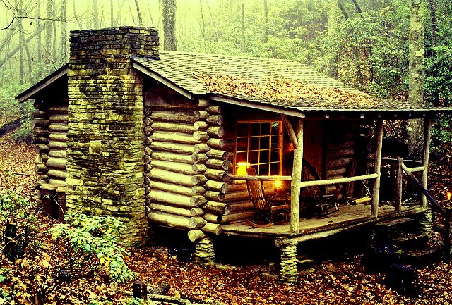 The Flying Tortoise He Built A Beautiful Little Rustic Cabin In The the-flying-tortoise-he-built-a-beautiful-little-rustic-cabin-in-the