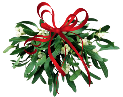 mistletoe+leaves 7 Tradisi Tahun Baru nan Unik