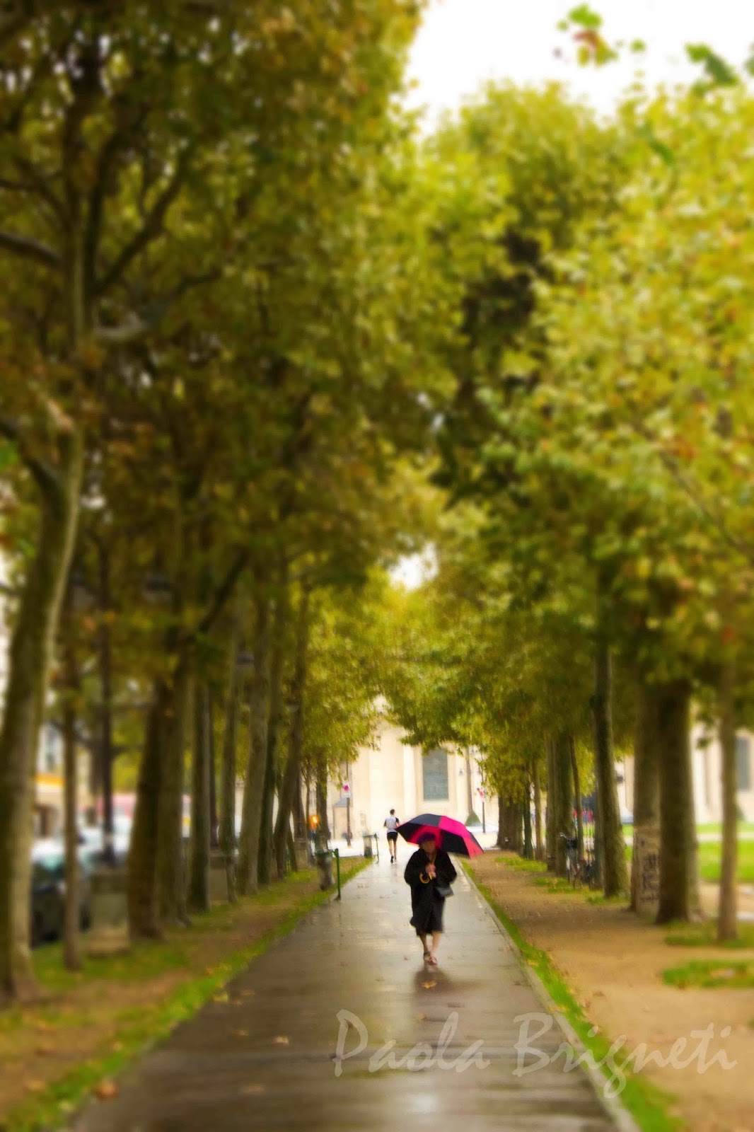 World Photos by Paola: Paris in the Rain