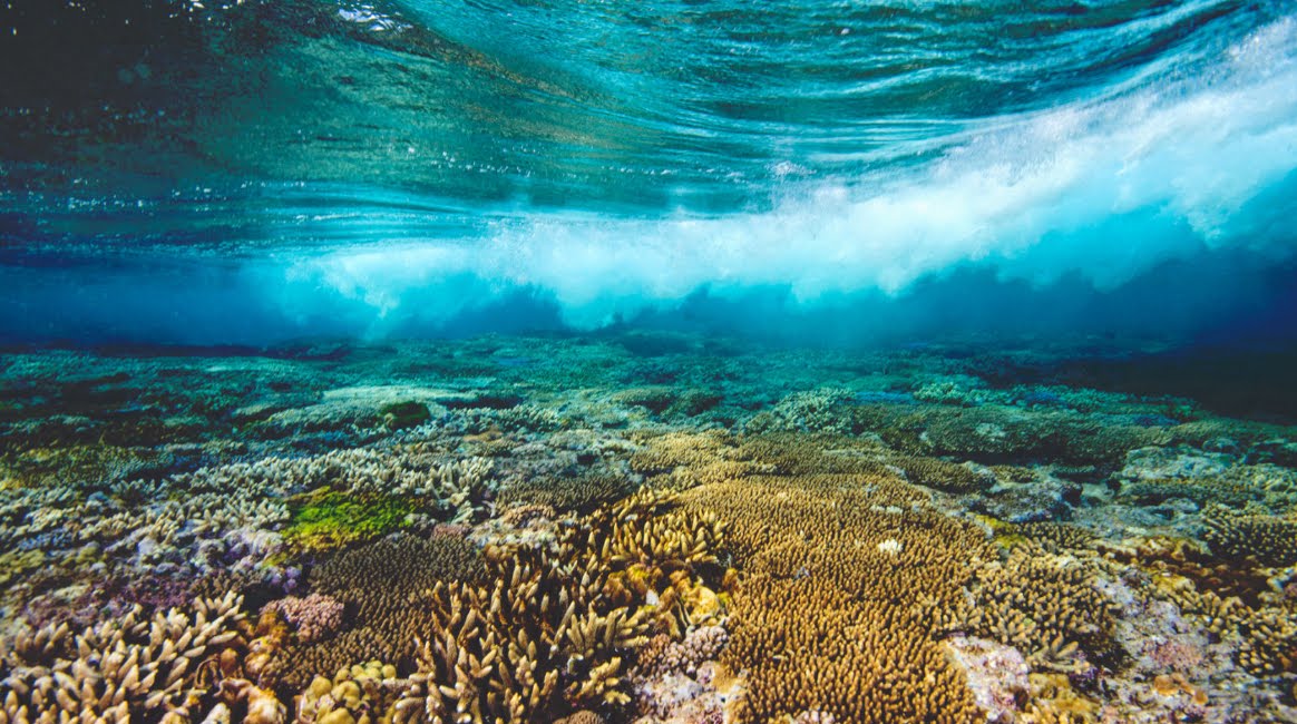 Australia: la Grande barriera corallina visibile dallo spazio - FOTO VIDEO YOUTUBE.