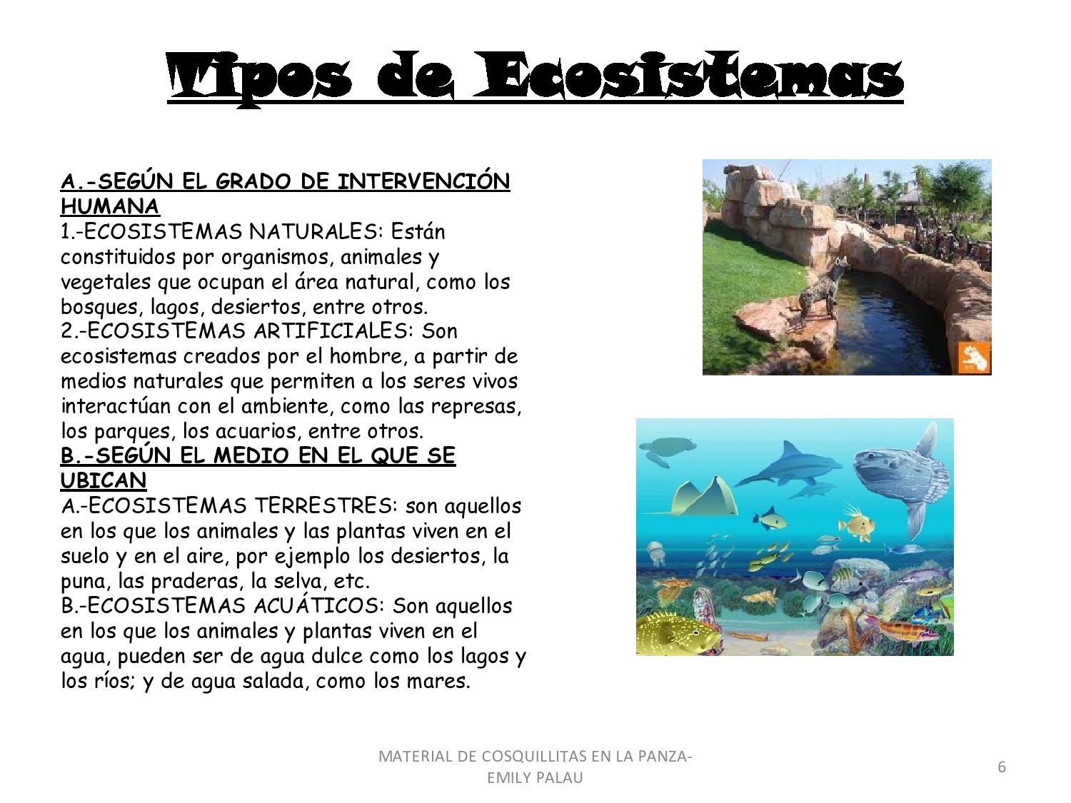 cadenas productivas sexto grado apoyo escolar ing maschwitzt contacto telef 011 15 cadenas productivas sexto grado apoyo escolar ing maschwitzt contacto telef 011 15