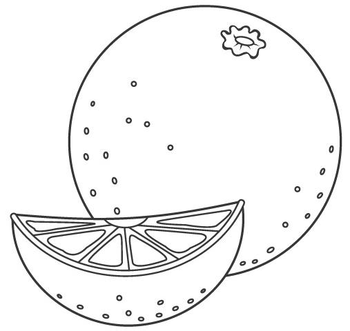 Imagenes De Verduras Para Recortar Verduras Y Frutas Para Imprimir