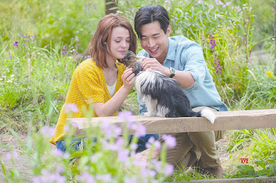 A Dogs Journey Movie Image 7