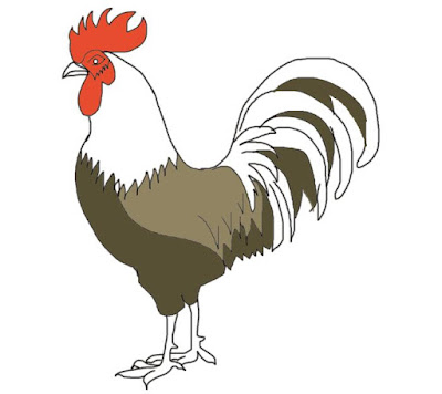 chicken-drawing
