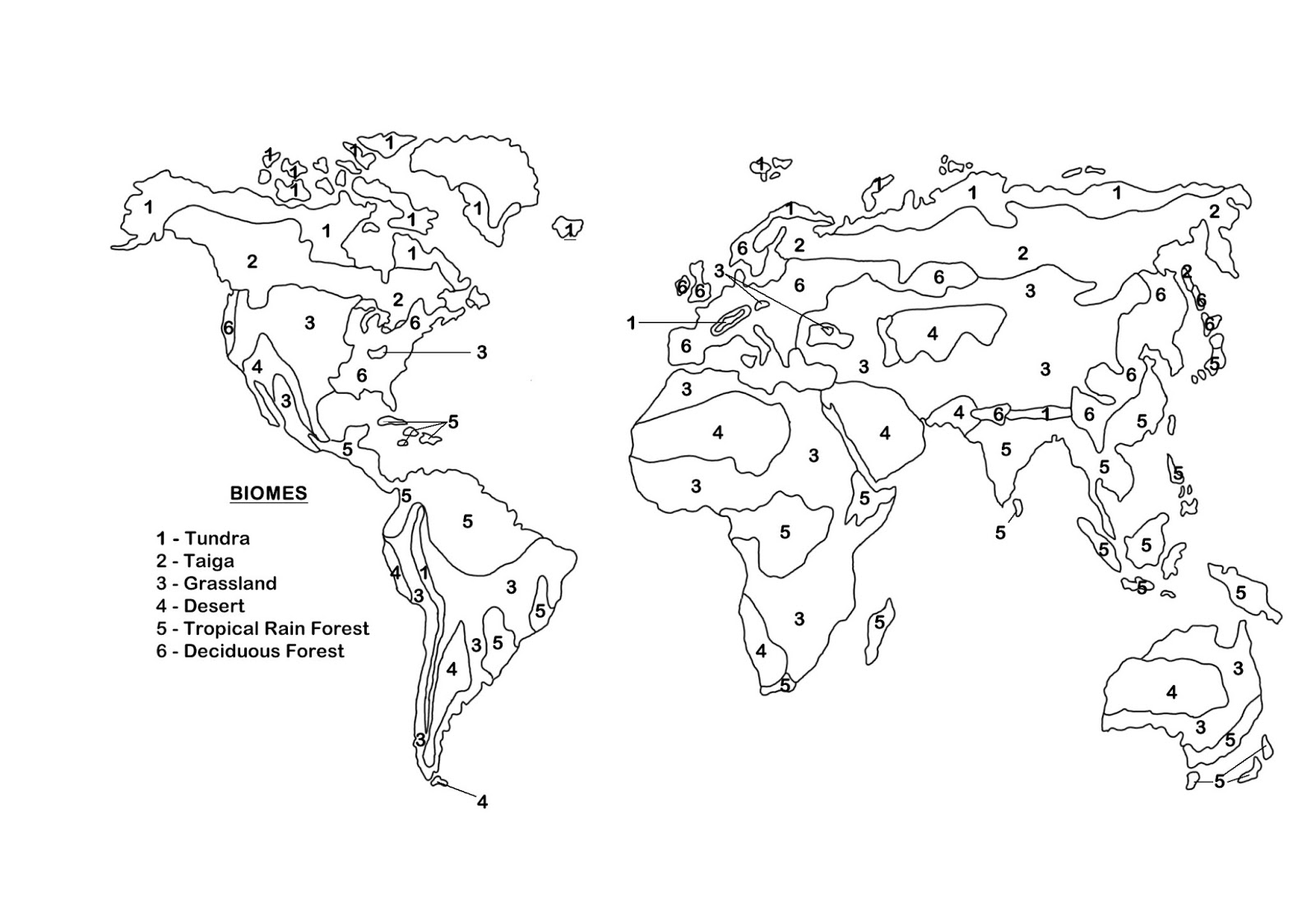 Biome Map Coloring Worksheet Answers