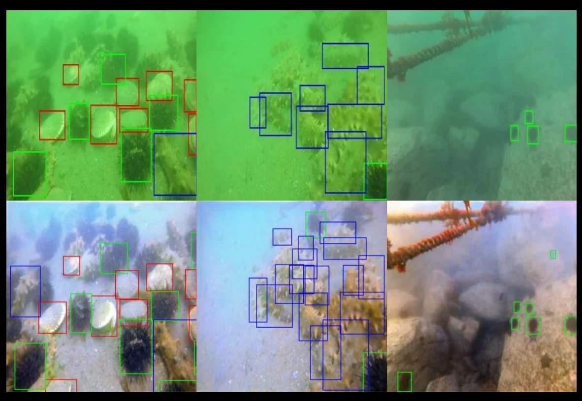 Underwater target detection results before and after enhancement