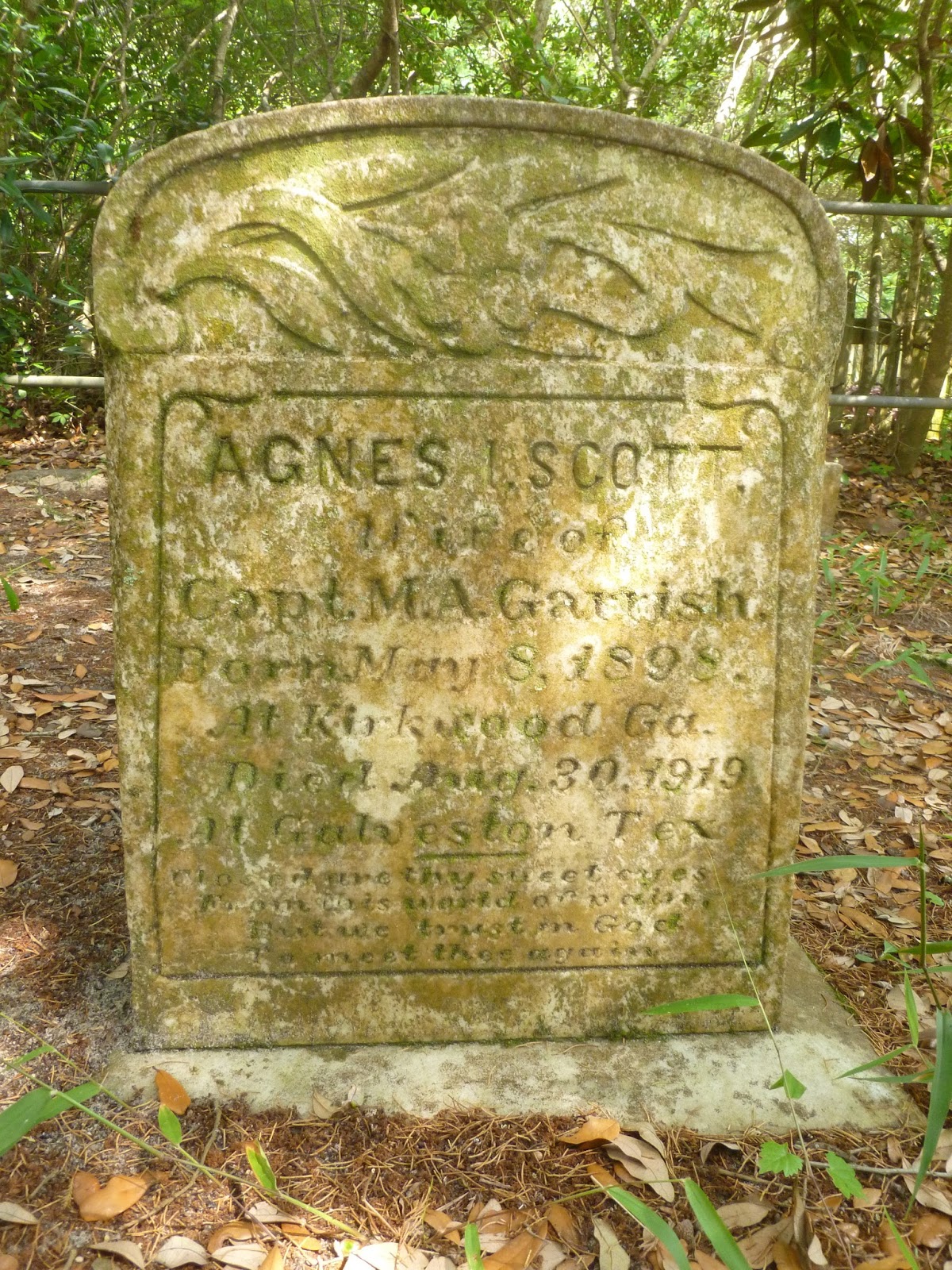 Ocracoke Island Journal Agnes Scott