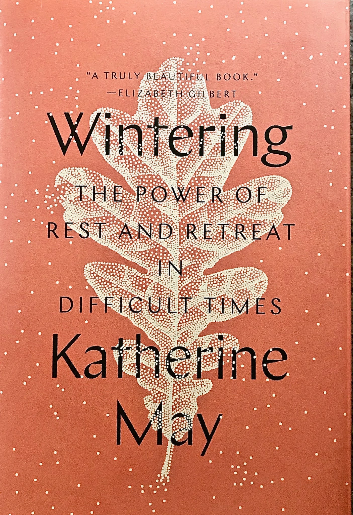 The beauty of “Wintering” a book review Cindy La Ferle's Life Lines