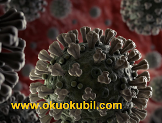 Coronavirüs Nasıl Yenilir: Gelişimde İlk 35 Tedavi