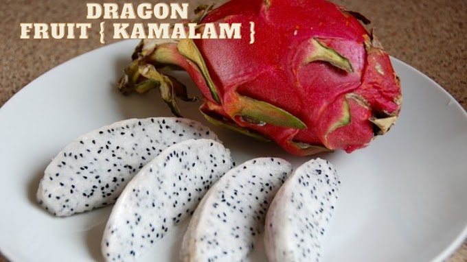 Dragon Fruit Benefits in Hindi - कमलम या ड्रैगन फ्रूट के फायदे 