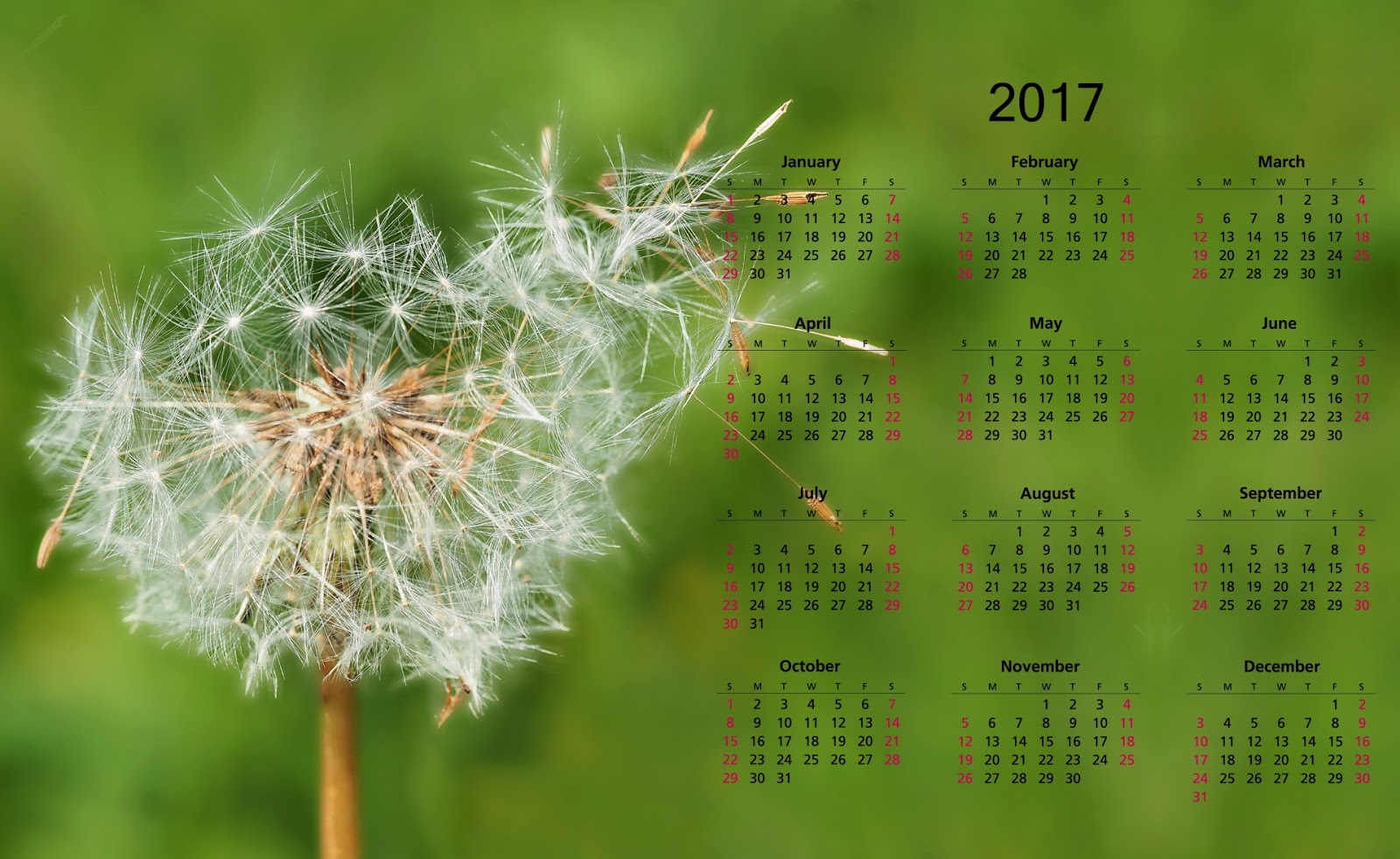2017-calendar-template-2017-calendar-with-holidays-calendar-2017-with