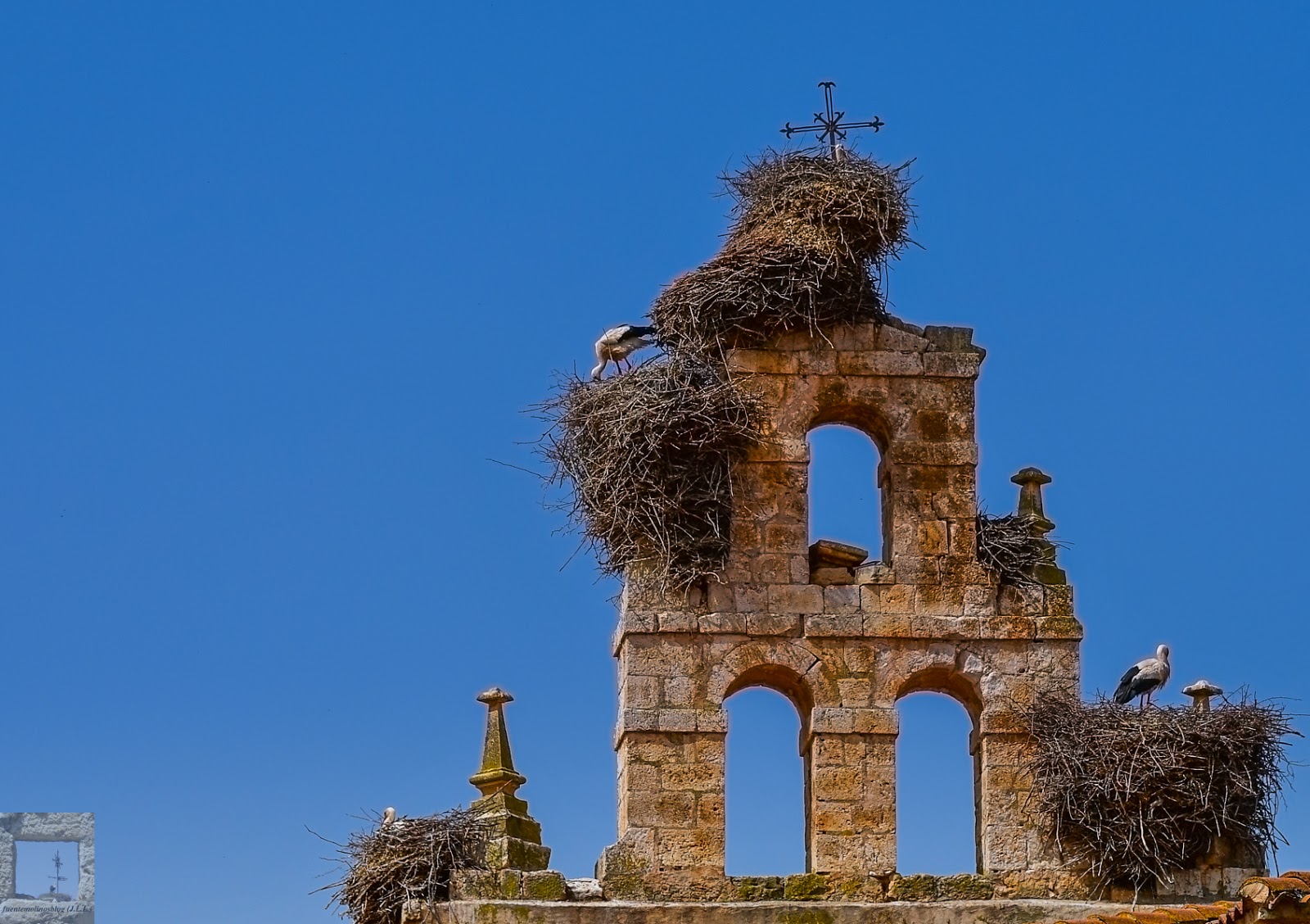 fuentemolinosblog Torres y cigüeñas Fresnillo de las Dueñas (X)