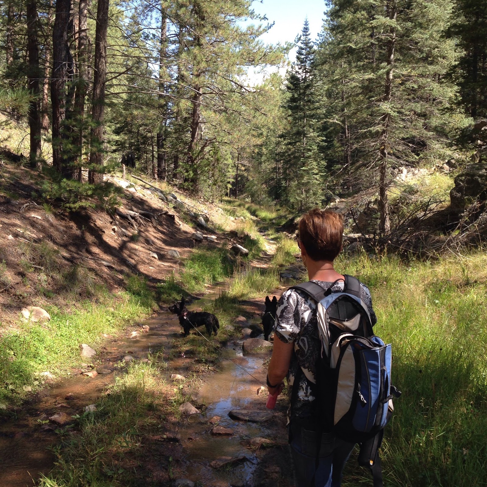 Southern New Mexico Explorer Arroyo Hondo Creek( FR 79) Santa Fe