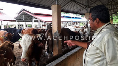 Terkait Sapi Kurus, Tim Ombudsman melakukan investigasi Langsung Ke UPTD IBI Dinas Perternakan Aceh