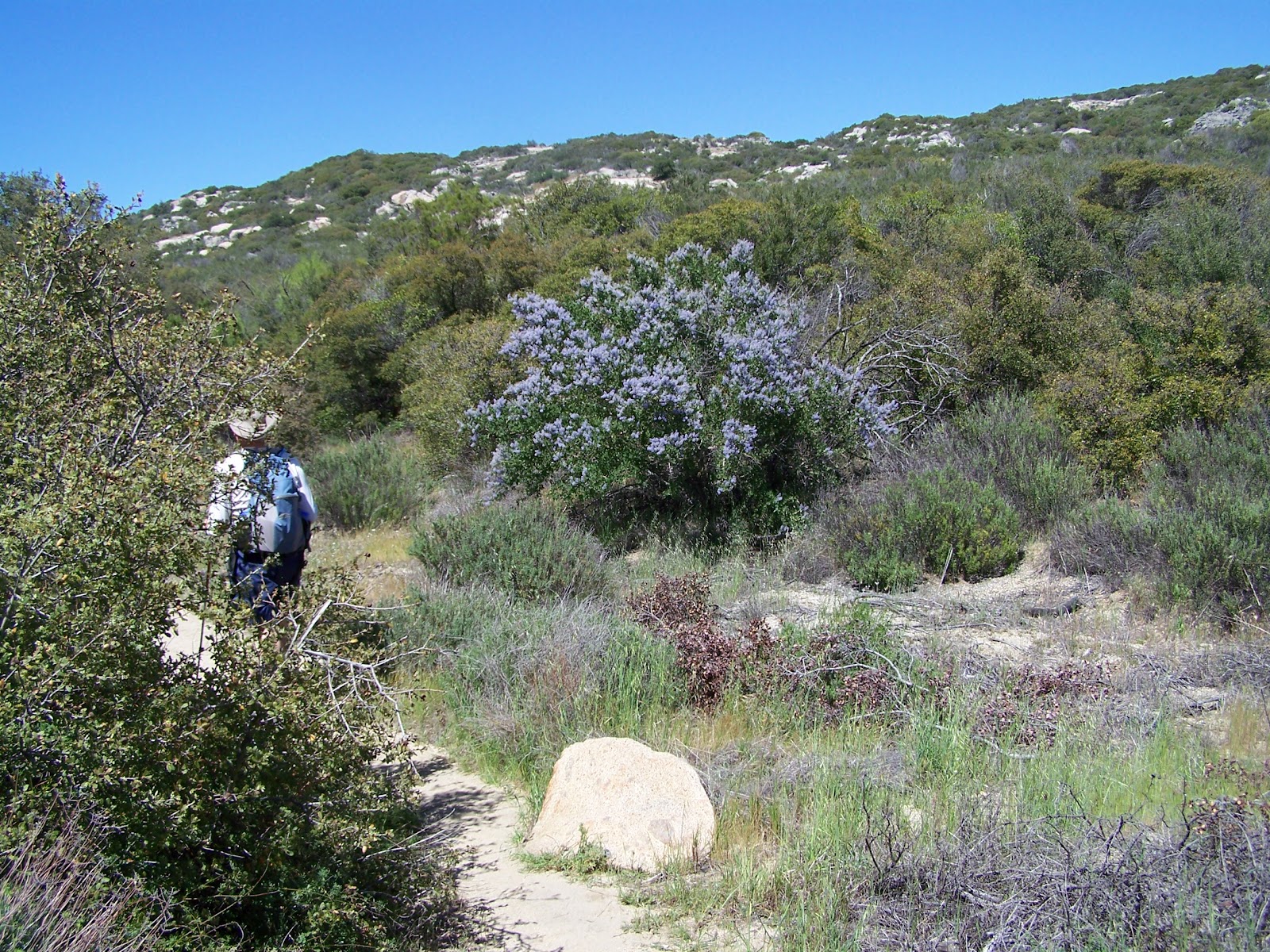 Jay's Pacific Crest Trail Hike 2012 4/24/12 Cañada Verde Creek