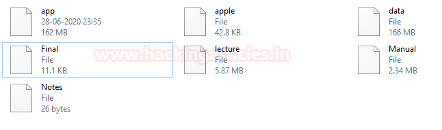 Forensic Investigation of Corrupted File Extension