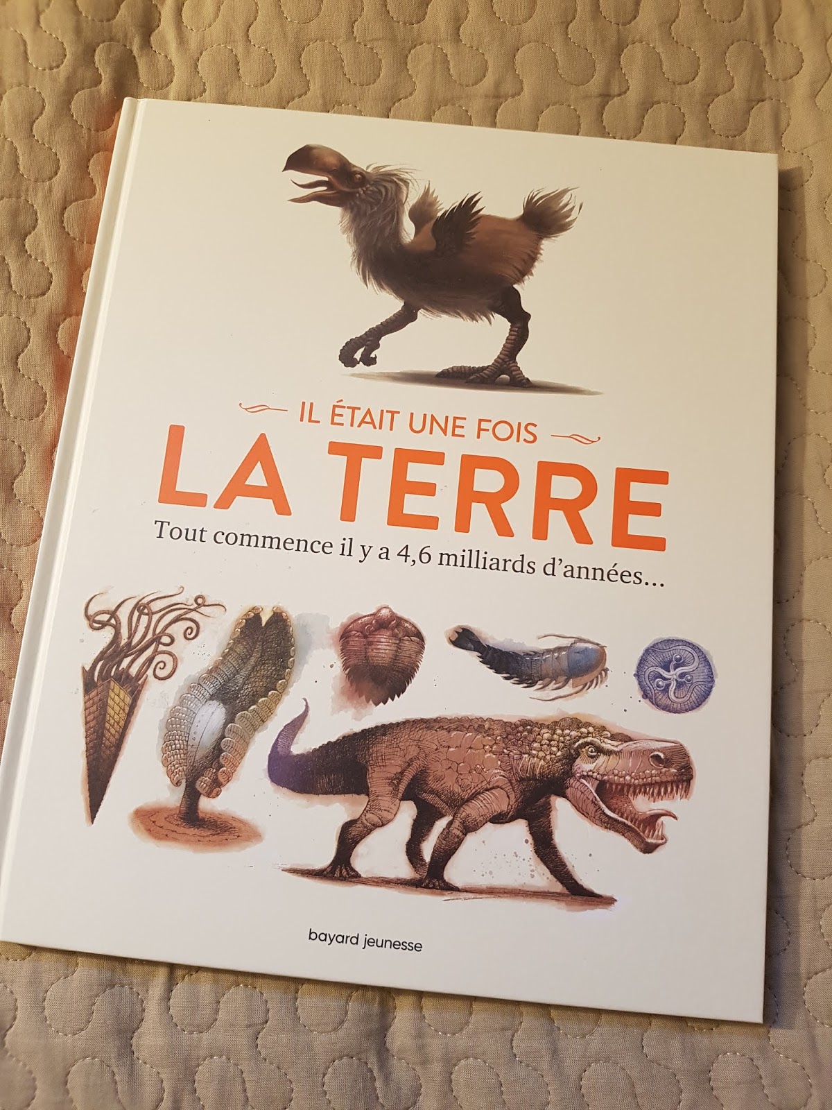 Sous le feuillage Il était une fois la Terre Tout commence il y a 4,6 milliards d'années... Sous le feuillage Il était une fois la Terre Tout commence il y a 4,6 milliards d'années...