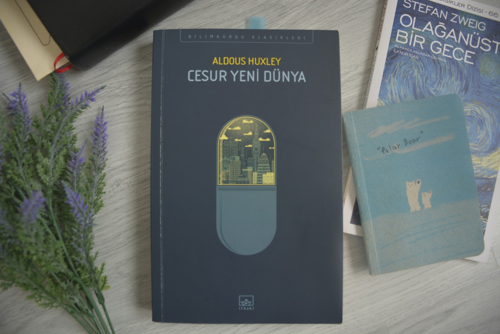 Aldous Huxley Seti Set Kitaplar Konusu Yorumlari Ve Fiyati Ile Kitap Sepeti Nde