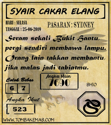 SYAIR SYDNEY 25-06-2019