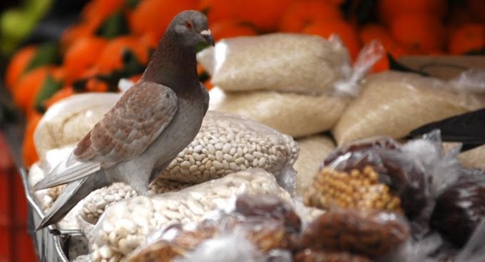 Το χειμωνιάτικο όσπριο που ρίχνει την πίεση, τη χοληστερόλη και αδυνατίζει