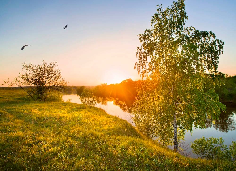 Далекий край любимый край. Родина природа. Природа нашей Родины. Природа родной земли.