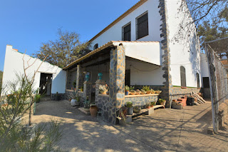 Se vende casa con finca en El Madroño