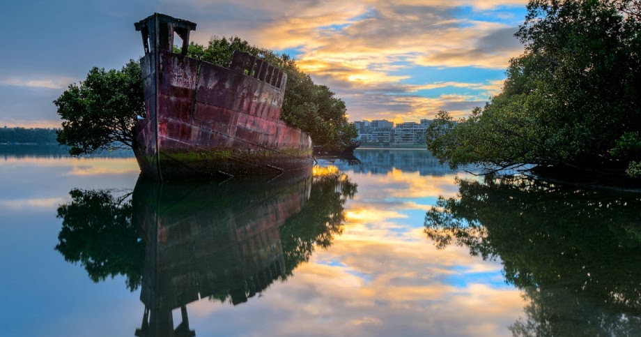 Deserted Places: SS Ayrfield, Sydney's floating forest
