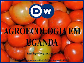 https://sites.google.com/site/magnun0006/Agroecologia%20em%20Uganda.pptx?attredirects=0&d=1