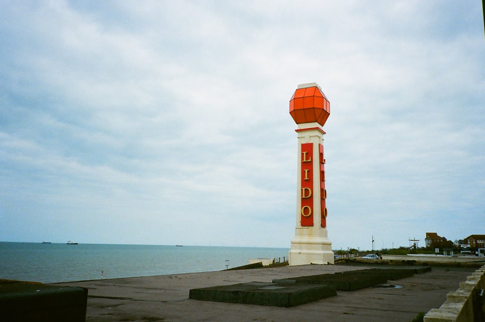 Cabbage Moths Lay Their Eggs On My Kale Margate on film
