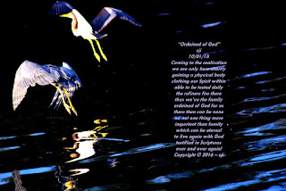 ordained visiting teaching god