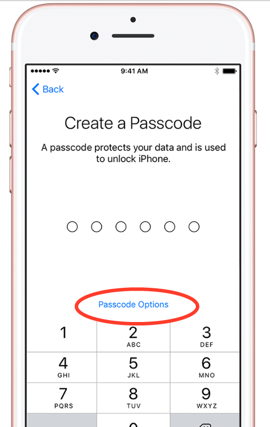 dorkythorpy Use Apple Pay Without Passcode
