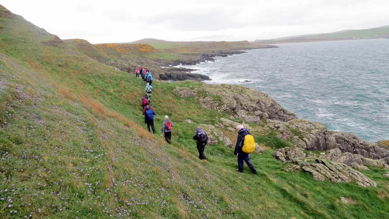 The Glebe Blog Three Walks Newton Stewart Walking Festival 2013