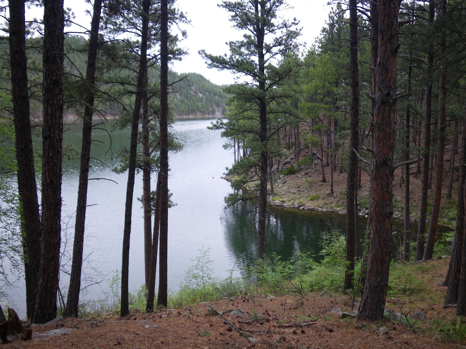 1994 Brave 29RQ RV Sheridan Lake South Shore National Forest Campground