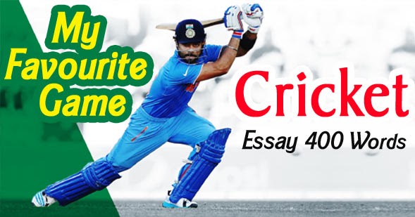 essay on play cricket in english