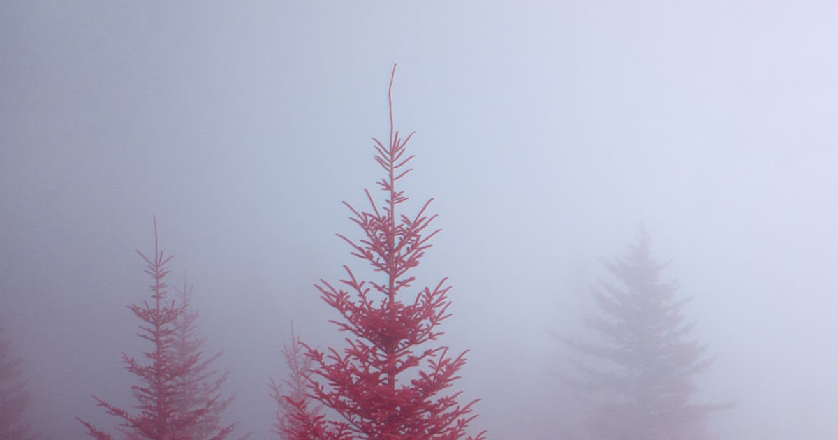 SANDSAME EL BOSQUE ROJO DE CHERNOBYL