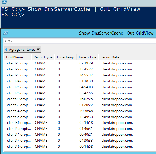 Ver y limpiar la caché del DNS Server | SYSADMIT