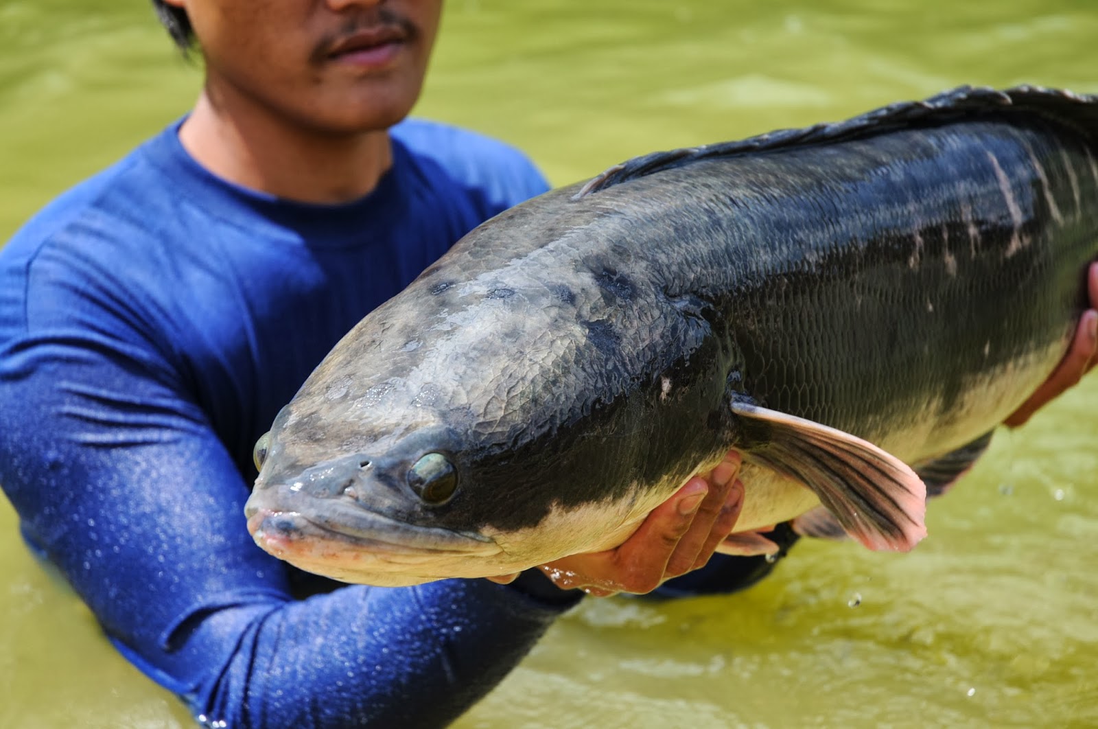 EXOTIC FISHING THAILAND: February 2014