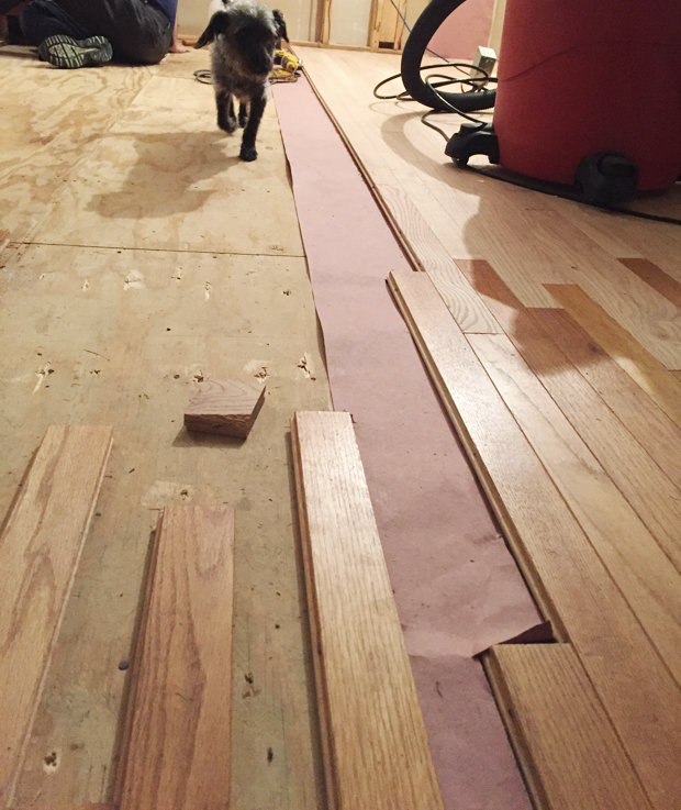 sarah m. dorsey designs Sofa Buy New or Reupholster?