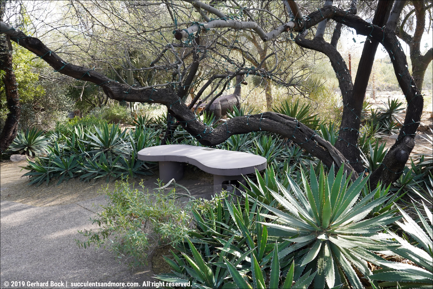 Tohono Chul really is one of Tucson's bestkept secrets for desert